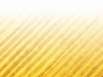 智能農(nóng)機(jī)、“訂單”服務(wù)、“云端”種菜——來(lái)自江西的春耕“新事”