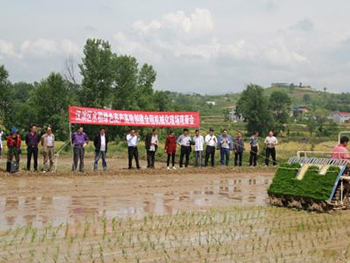 大田：農(nóng)機(jī)化科技創(chuàng)新，助力鄉(xiāng)村振興